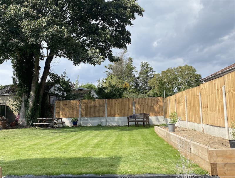the back garden